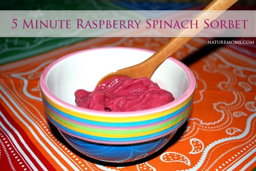 5 Minute Raspberry Spinach Sorbet