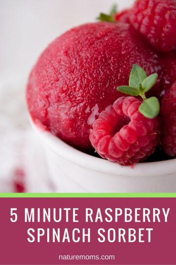 5 Minute Raspberry Spinach Sorbet