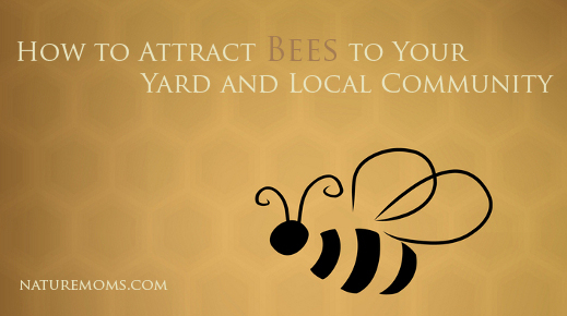 How to Attract Bees to Your Yard and Local Community