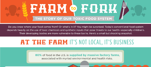 The Story of Our Toxic Food System