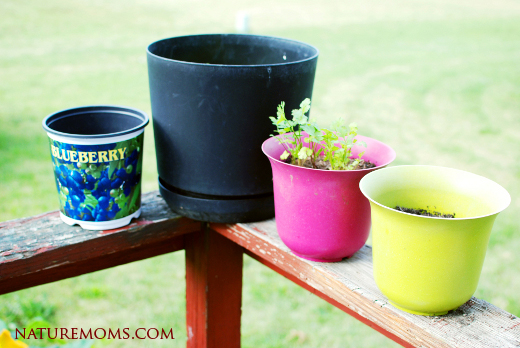 salad bar porch pots