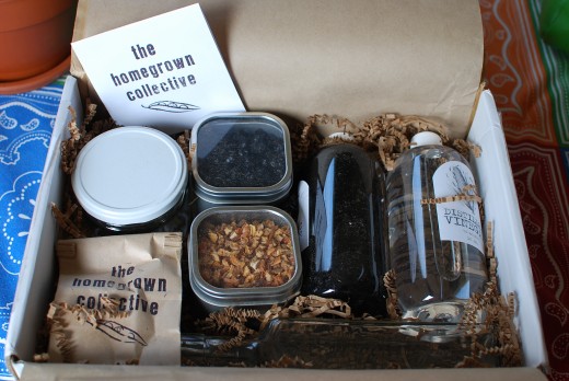 Homegrown Collective Box