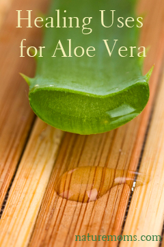 Healing Uses for Aloe Vera