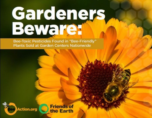 Your Garden May Be Harming the Bees, Not Helping Them