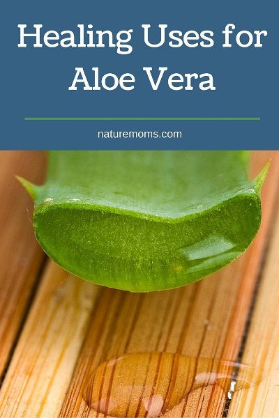 healing uses for aloe