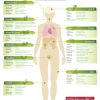 An Herb Body Map