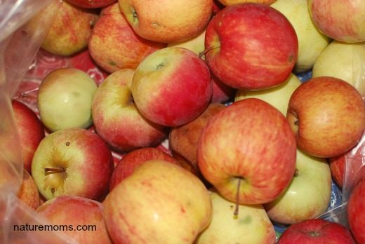 Creative Ways to Use Fall Apples