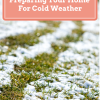 Preparing Your Home For Cold Weather