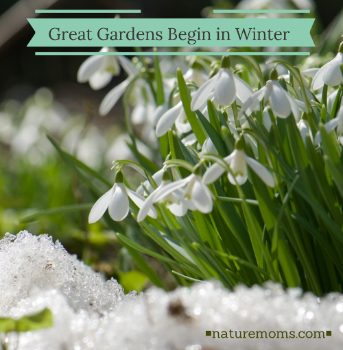 Great Gardens Begin in Winter