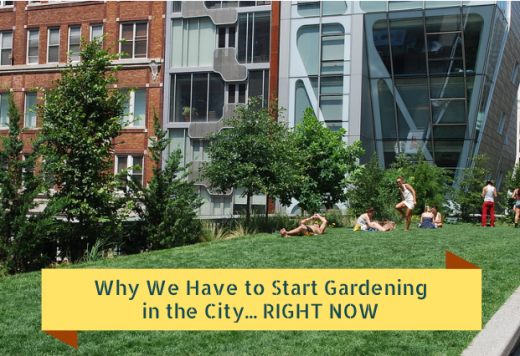 Why We Have to Start Gardening in the City