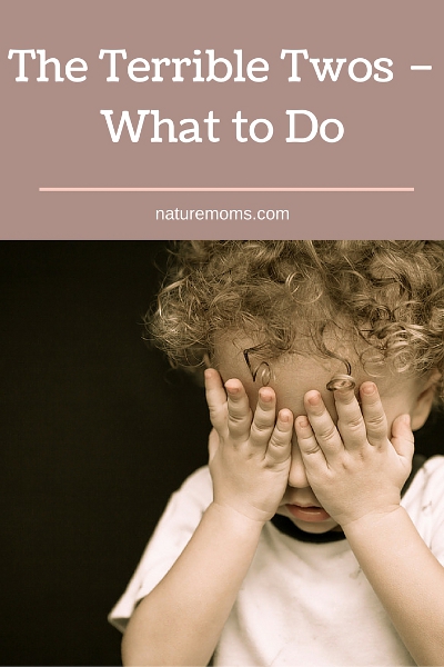 The Terrible Twos – What to Do