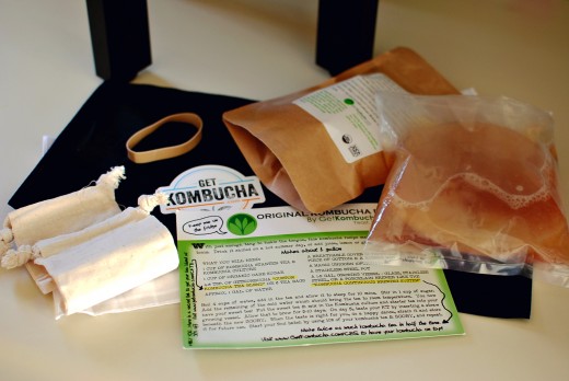 get Kombucha Kit