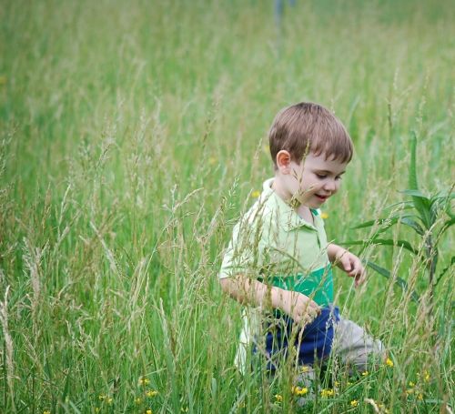 Young boy walking through grasslands meadow