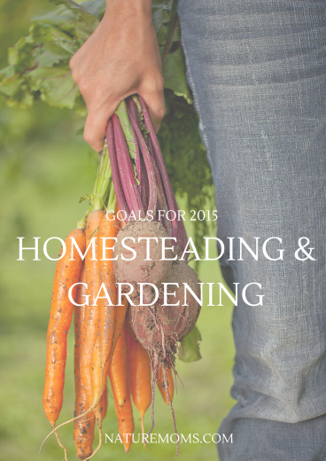 Gardening and Homesteading Goals for 2015