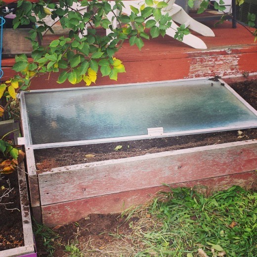 coldframe