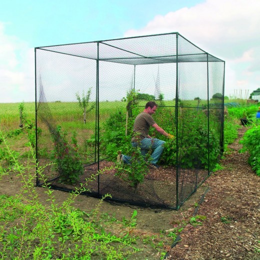 garden cage