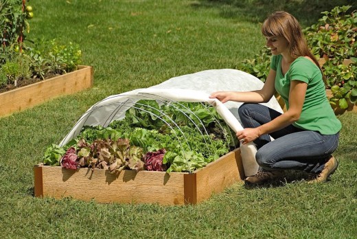 garden hoops