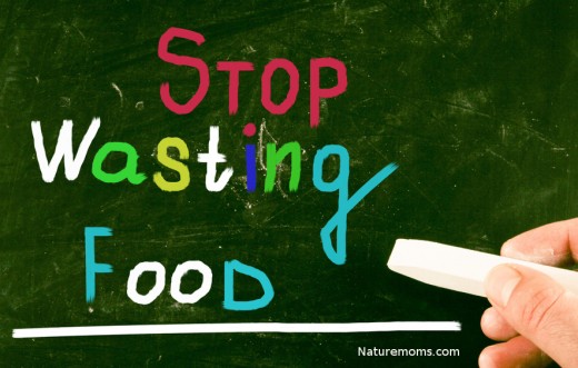 stop wasting food 5 tips