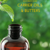 A Guide to Carrier Oils and Butters