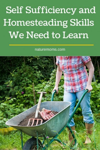 Self Sufficiency and Homesteading Skills We Need to Learn