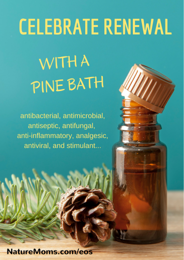 celebrate renewal with pine essential oil