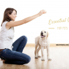 Essential Oils for Pets