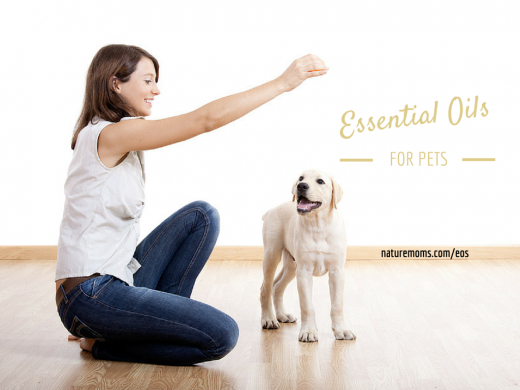 essential oils for pets
