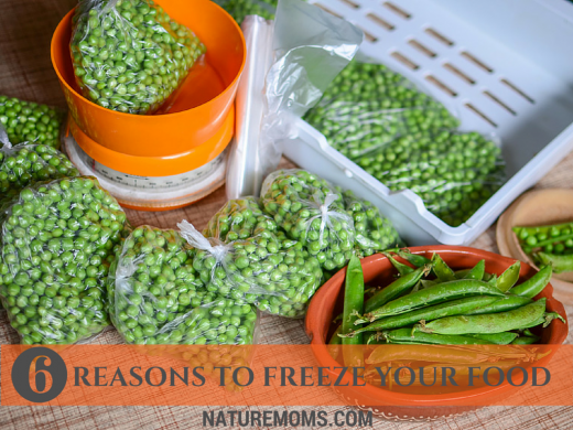 6 Reasons to Freeze Your Food