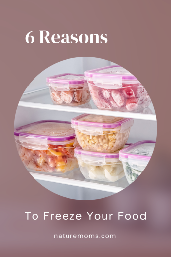 6 Things to Keep in Your Freezer at All Times