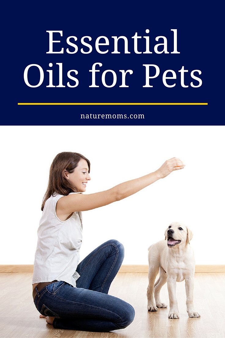 oils for pets