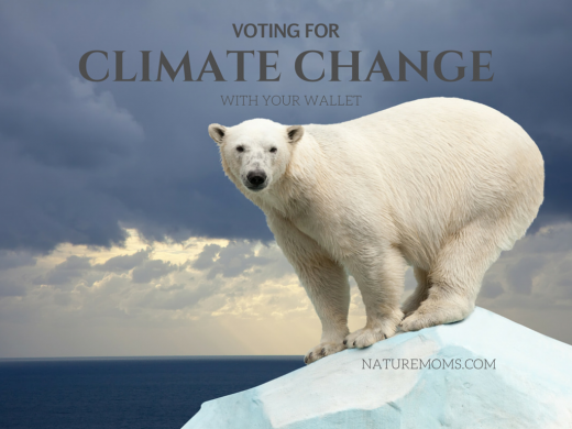Voting for Climate Change With Your Wallet