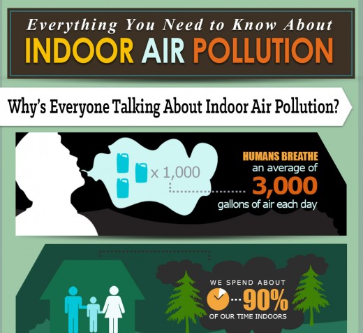 The Scoop on Indoor Air Pollution