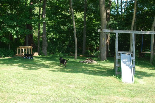 Woods, compost bin, firepit