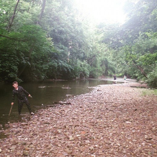 creek backyard