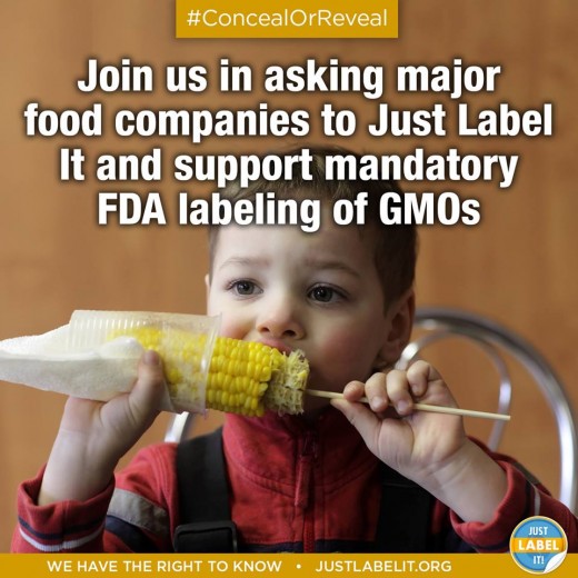 Celebrity Moms Support GMO Labeling. Do you?