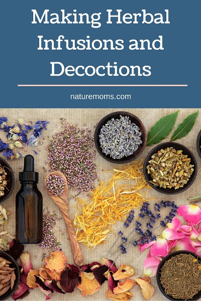 Making Herbal Infusions and Decoctions