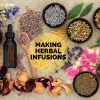 Making Herbal Infusions and Decoctions