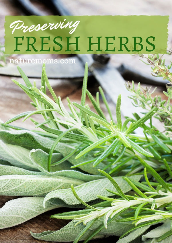 preserving fresh herbs