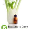 5 Reasons to Love Fennel Essential Oil