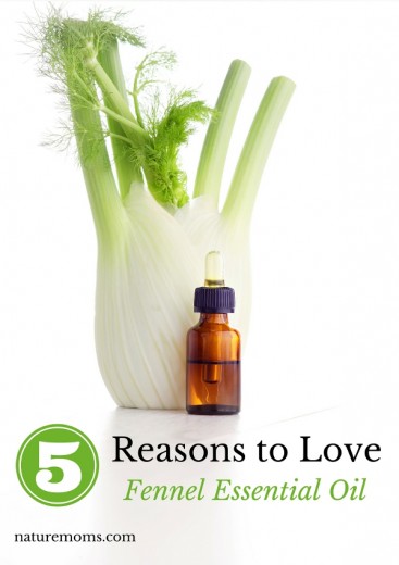 5 Reasons to Love Fennel Essential Oil