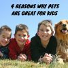 4 Reasons Why Pets Are Great for Kids