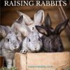 Urban Homesteading – Raising Rabbits