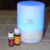 Vividay 300ml Aroma Diffuser