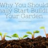 Why You Should Finally Start Building Your Garden