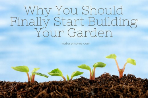 Why You Should Finally Start Building Your Garden