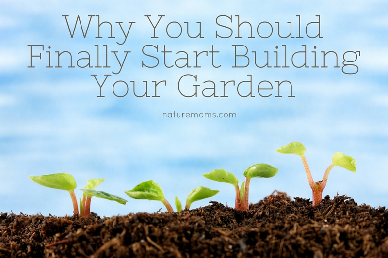 Why You Should Start A Garden