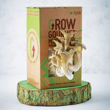 normal_grow-your-own-mushroom-kit