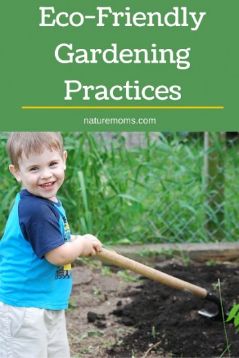 Eco-Friendly Gardening Practices