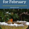 Garden Tasks for February