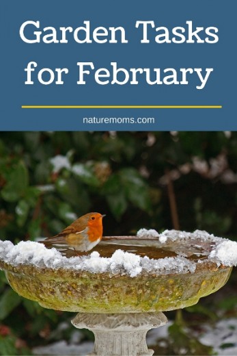 Garden Tasks for February